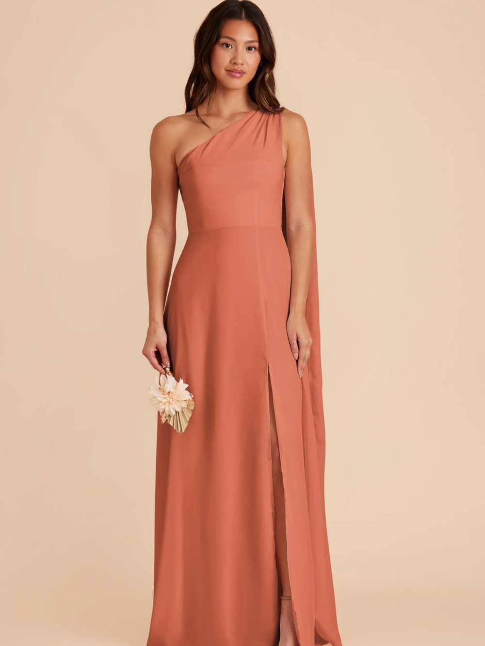 Birdy Grey Melissa Dress - Chiffon Teracotta